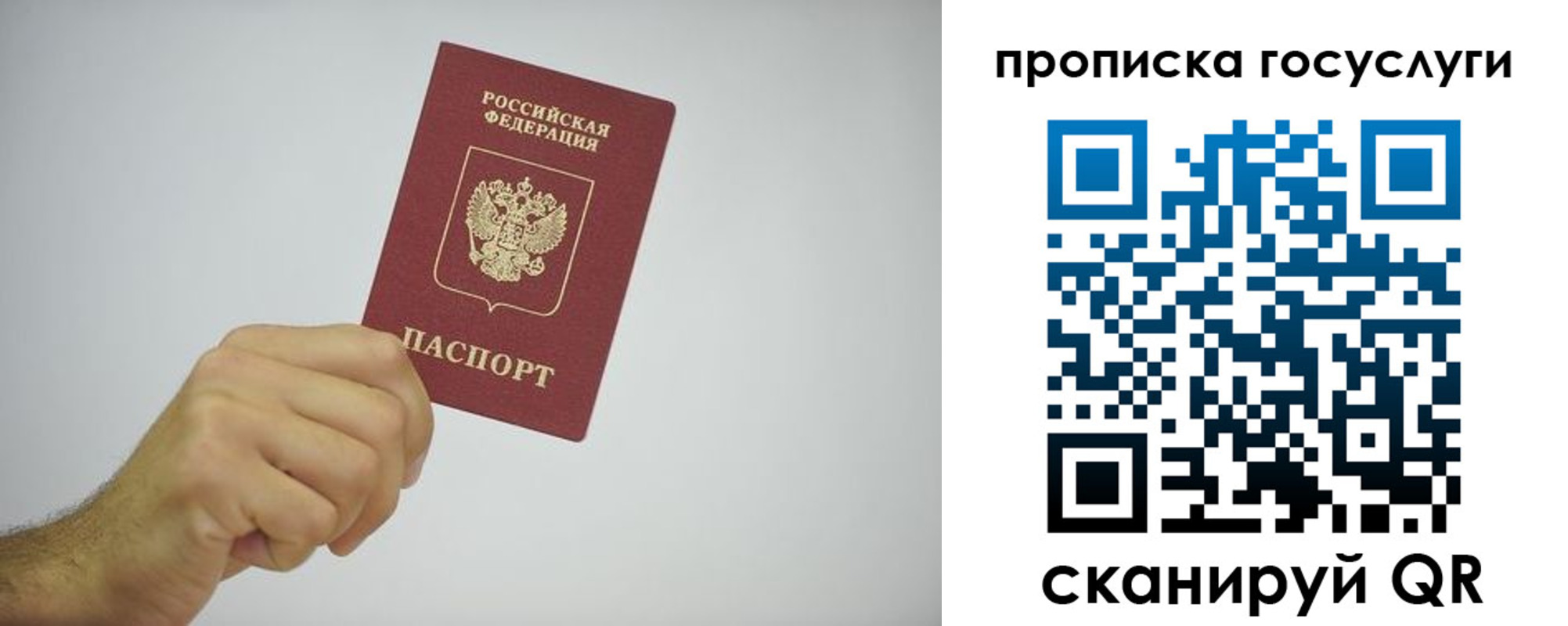 прописка законно в Камешково